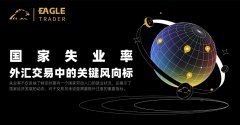 国家失业率：外汇交易中的关键风向标